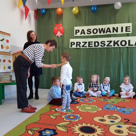 Wyświetl org. rozmiar