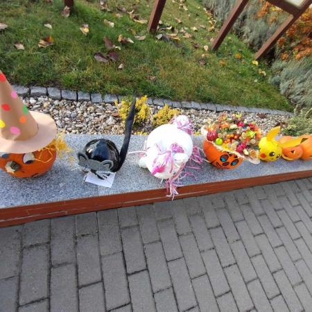 Wyświetl org. rozmiar