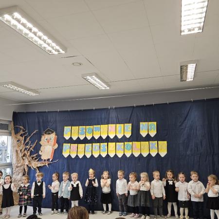 Wyświetl org. rozmiar