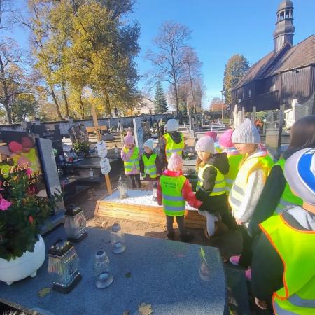 Wyświetl org. rozmiar