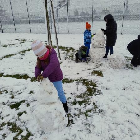 Wyświetl org. rozmiar