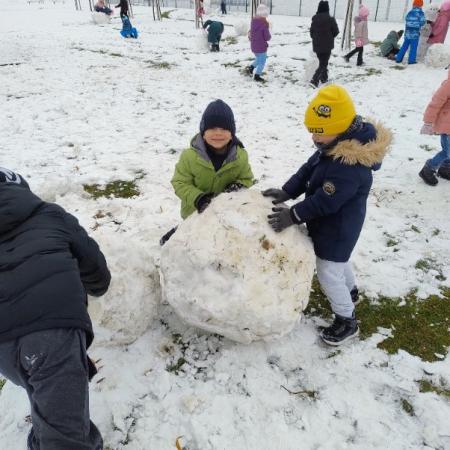 Wyświetl org. rozmiar