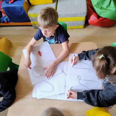 Wyświetl org. rozmiar