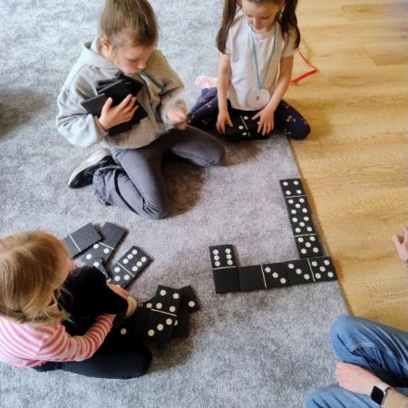 Wyświetl org. rozmiar