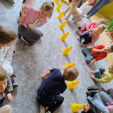 Wyświetl org. rozmiar