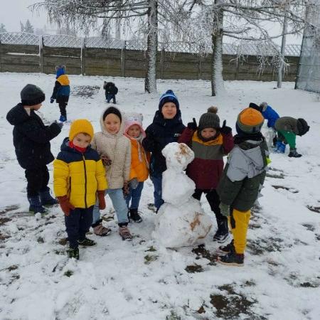 Wyświetl org. rozmiar