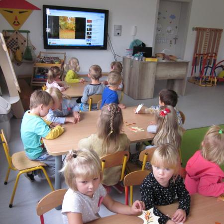 Wyświetl org. rozmiar