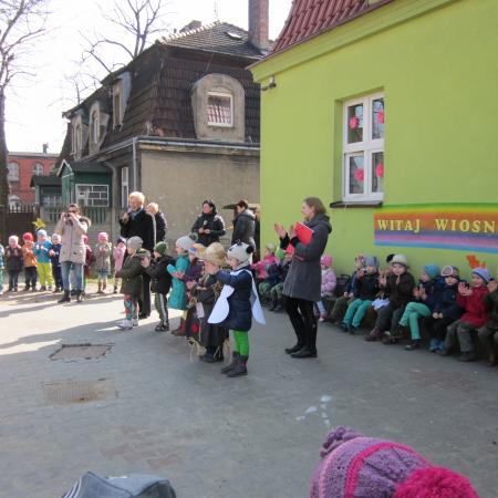 Wyświetl org. rozmiar