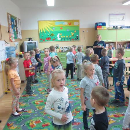 Wyświetl org. rozmiar