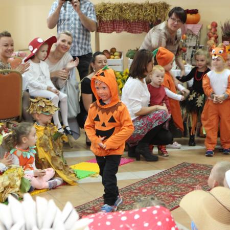 Wyświetl org. rozmiar